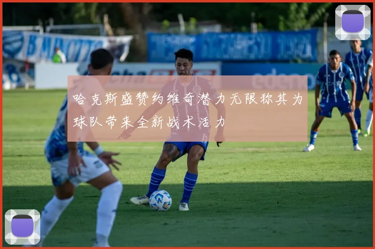 哈克斯盛赞约维奇潜力无限称其为球队带来全新战术活力