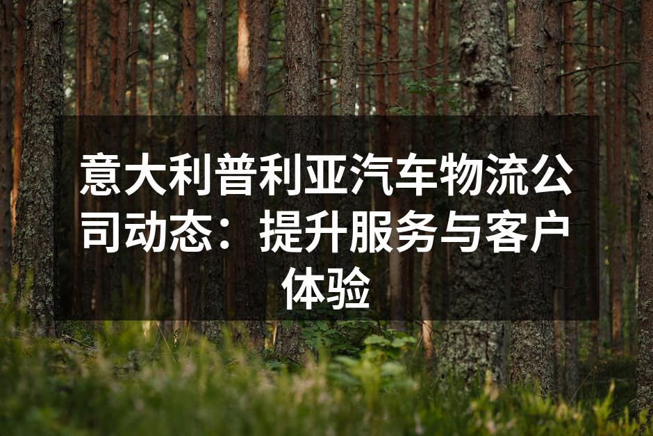 团队扩展,提升服务质量