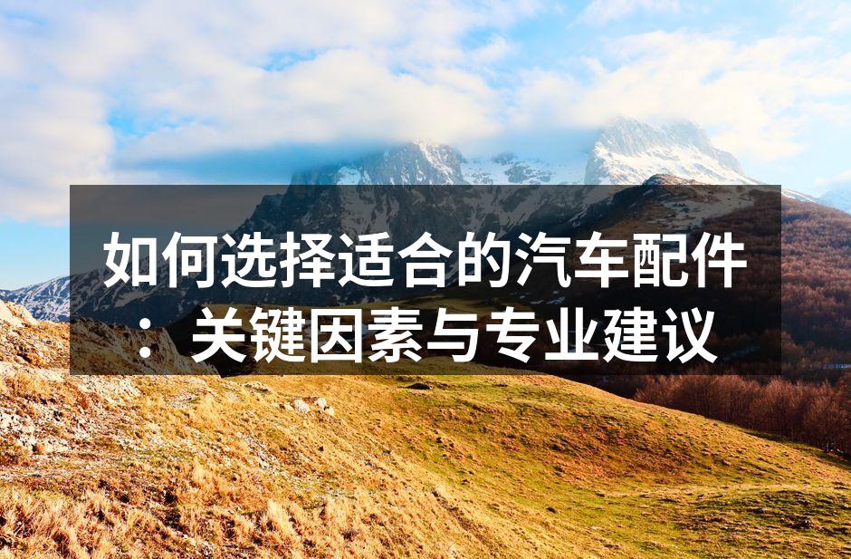 专业技师正在检查汽车配件