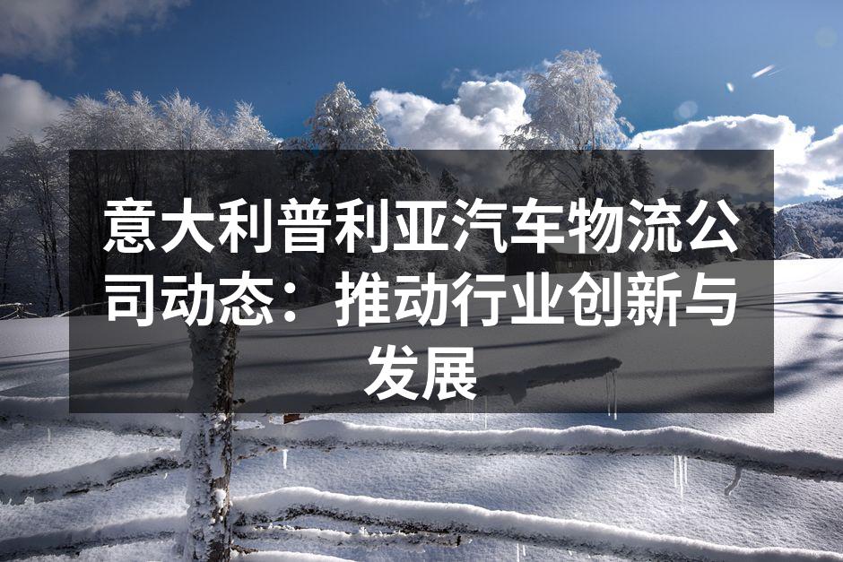 普利亚汽车物流运输车辆