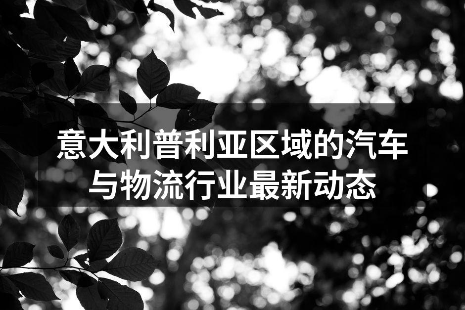 普利亚地区汽车制造业现场
